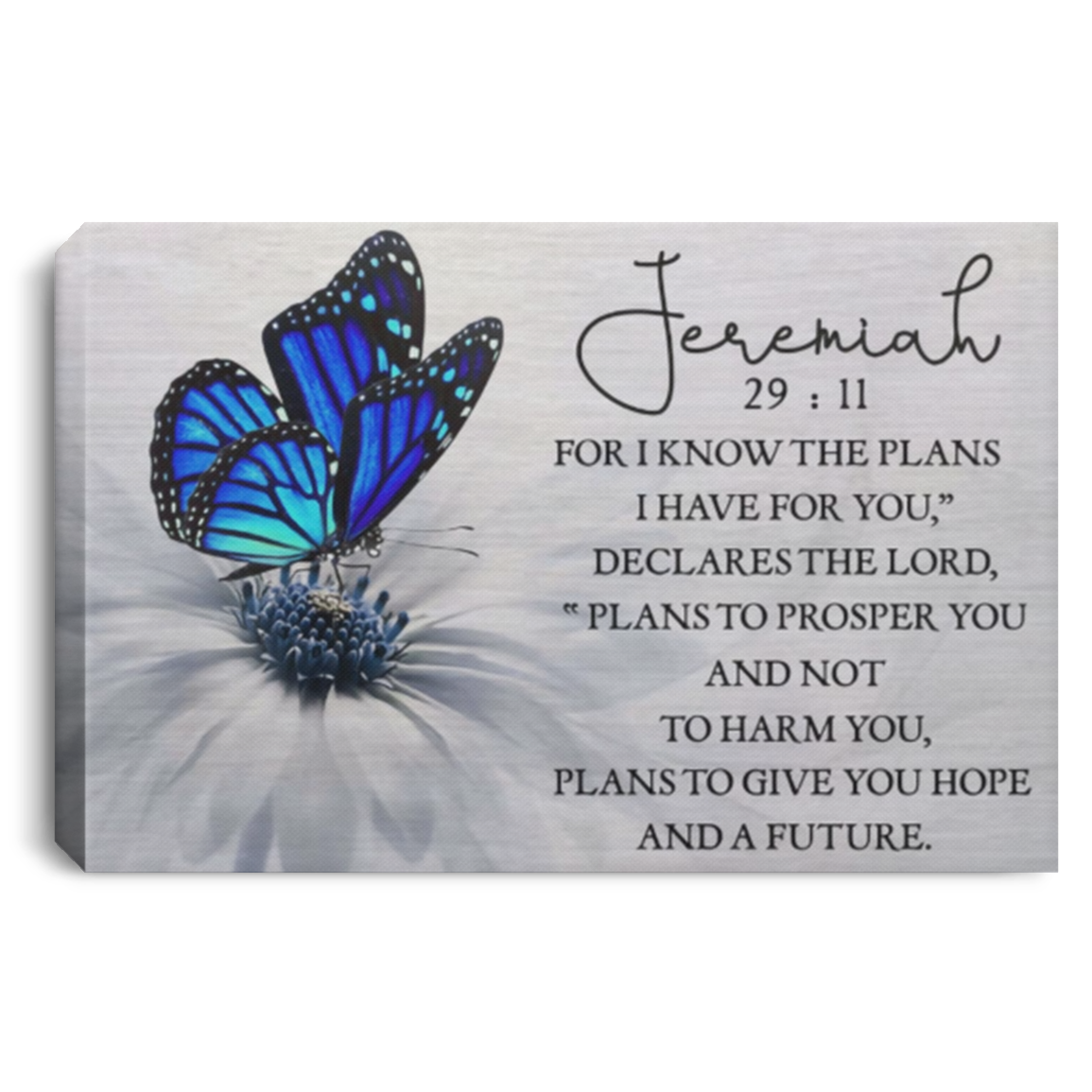 For I Know The Plans I Have For You Jeremiah 29:11 Butterfly Wall Art Canvas